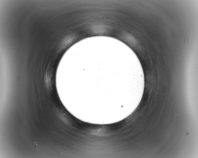 X0000085780116200704091419