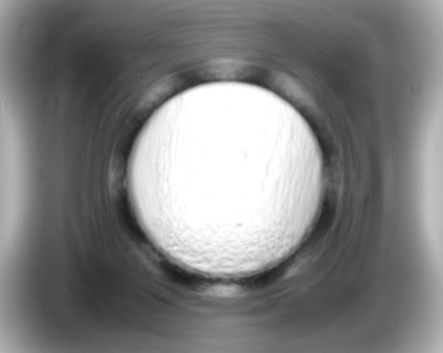 X0000085780119200704091419