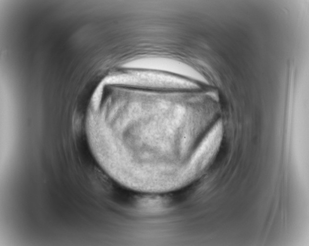 X0000085780123200704091419