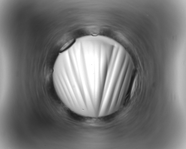 X0000085780125200704091419