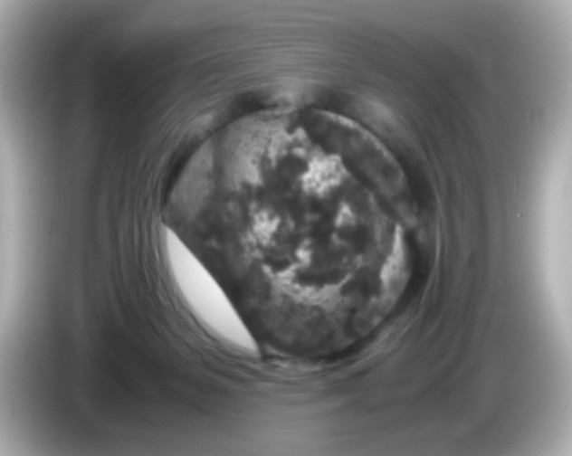 X0000085780127200704091419