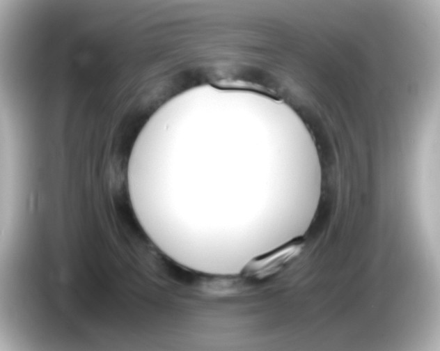 X0000085780129200704091419