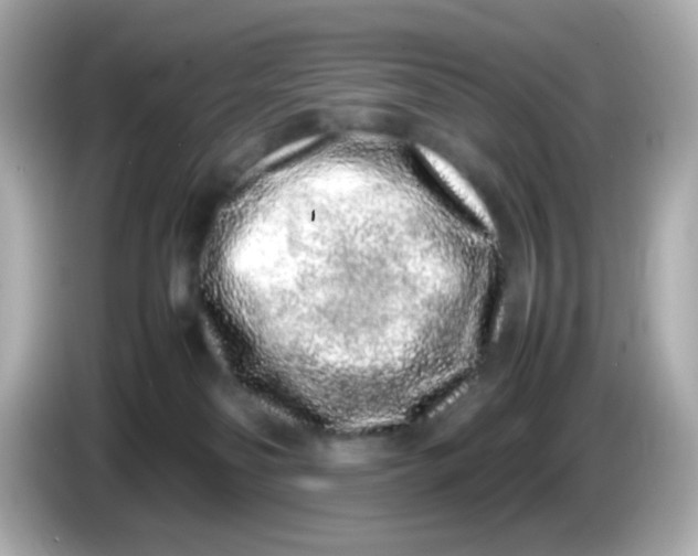 X0000085780134200704091419