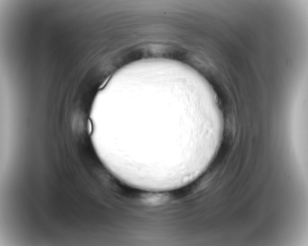 X0000085780135200704091419