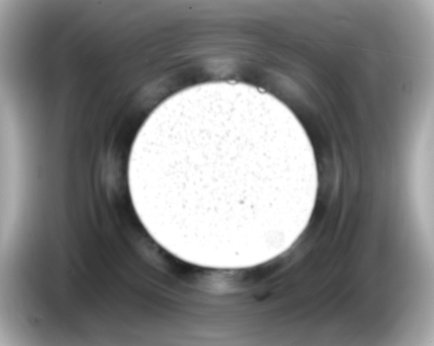 X0000085780136200704091419