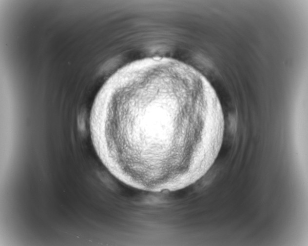 X0000085780138200704091418