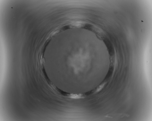 X0000085780143200704091418