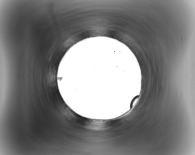 X0000085780144200704091418