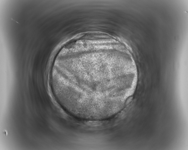 X0000085780145200704091418