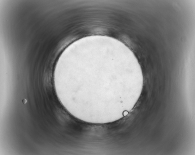 X0000085780146200704091418