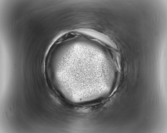 X0000085780148200704091418