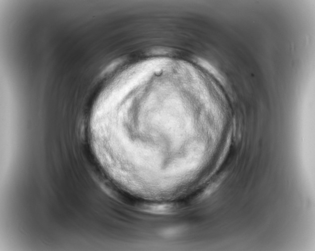 X0000085780157200704091418