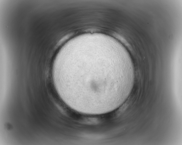 X0000085780159200704091418