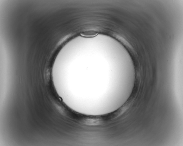 X0000085780160200704091418