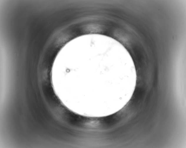 X0000085780162200704091418