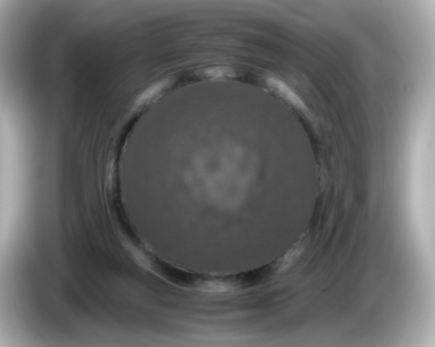 X0000085780163200704091418