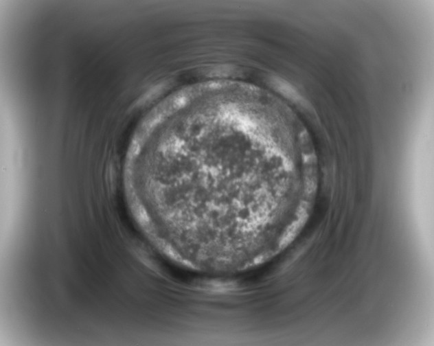 X0000085780165200704091418