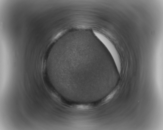 X0000085780168200704091418