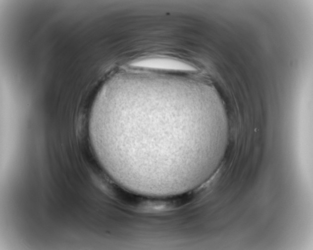 X0000085780171200704091418