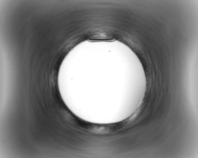 X0000085780174200704091418