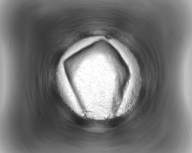 X0000085780175200704091418