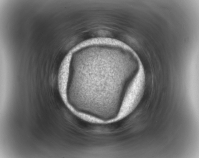 X0000085780177200704091418