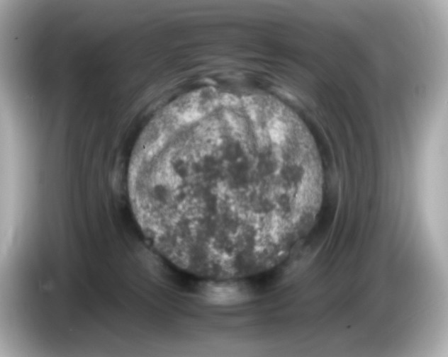 X0000085780181200704091418