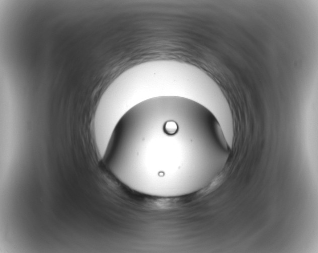 X0000085780184200704091418