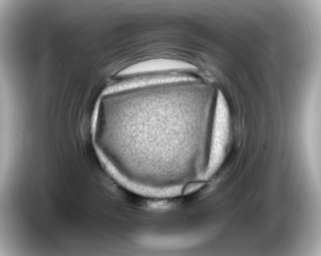 X0000085780189200704091418