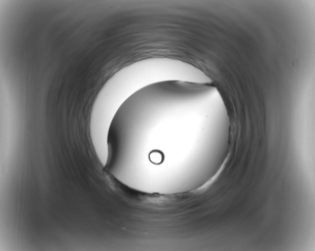 X0000085780190200704091418