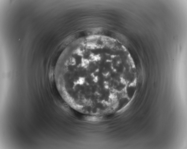 X0000085780191200704091418