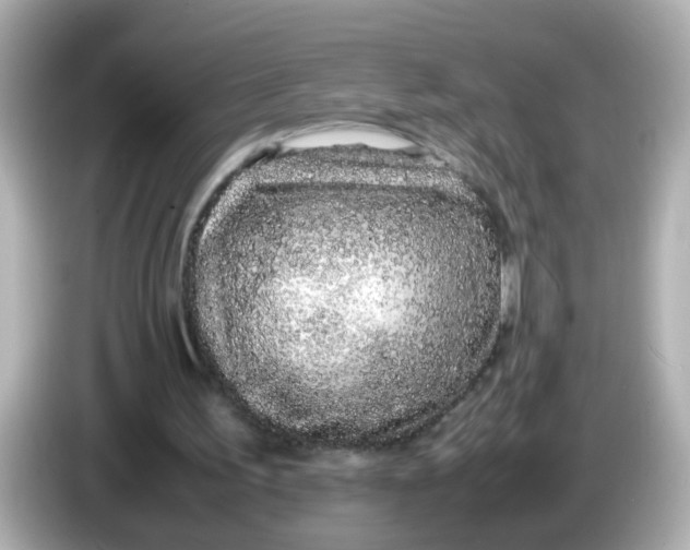 X0000085780195200704091418