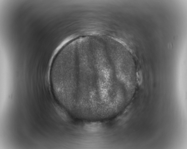 X0000085780196200704091418