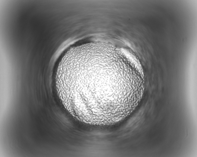 X0000085780199200704091418