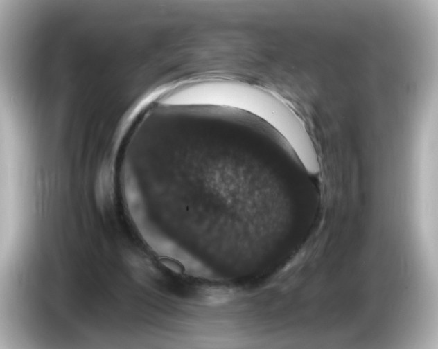 X0000085780200200704091418