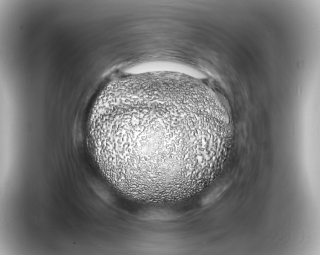 X0000085780203200704091418