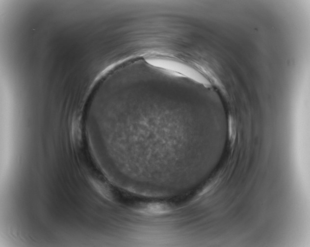 X0000085780204200704091418