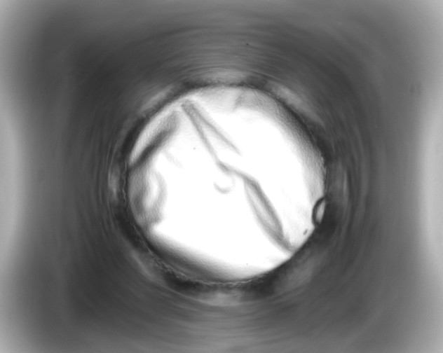 X0000085780206200704091418