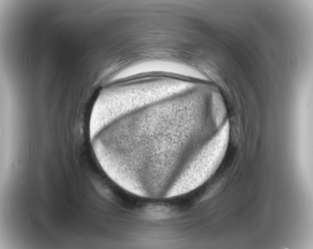 X0000085780207200704091418