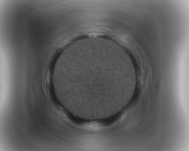 X0000085780219200704091418