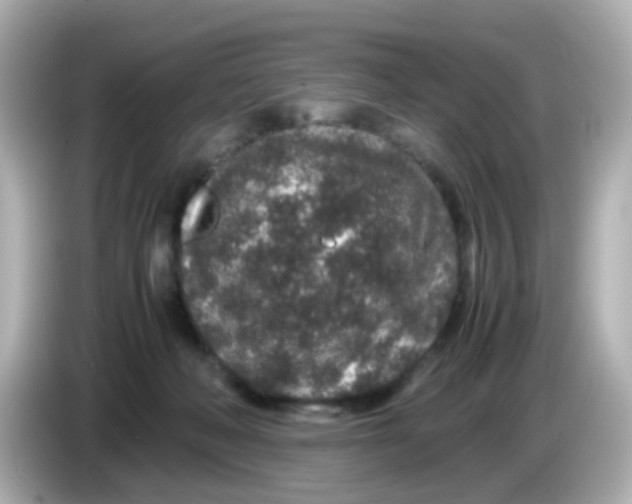 X0000085780222200704091417