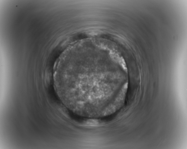 X0000085780227200704091417