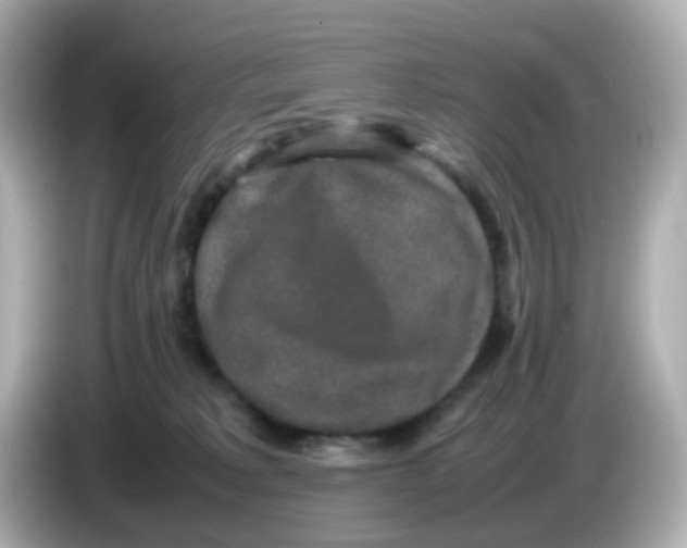 X0000085780229200704091417