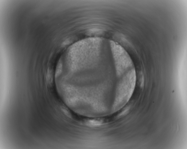 X0000085780232200704091417