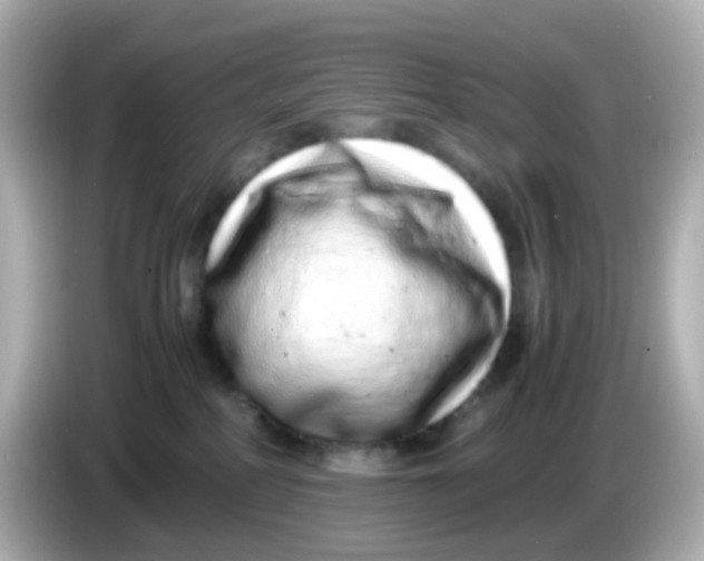 X0000085780234200704091417