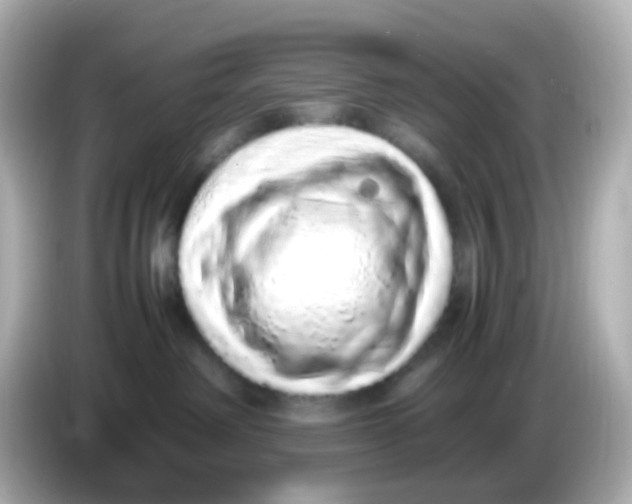 X0000085780238200704091417