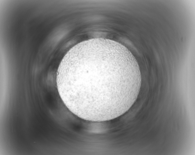 X0000085780240200704091417