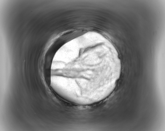 X0000085780241200704091417