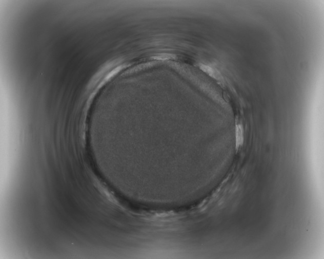 X0000085780243200704091417