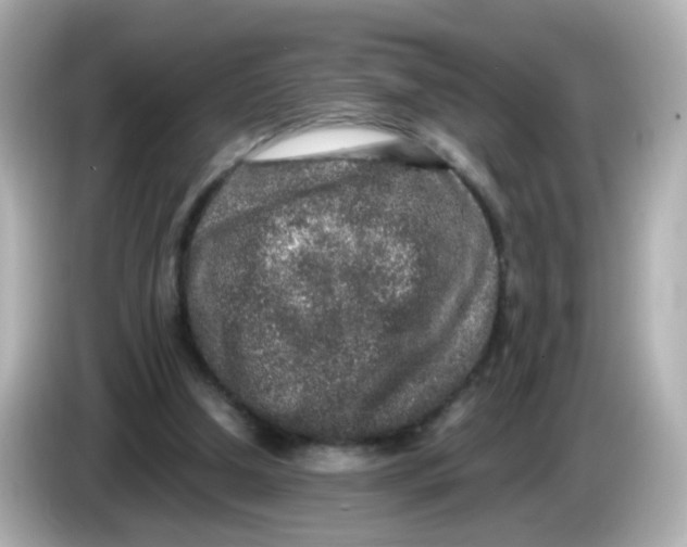 X0000085780250200704091417